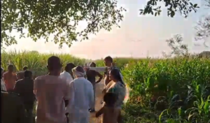 आदिवासी किसान को मारा थप्पड़, तहसीलदार का हुआ तबादला